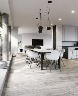 Economy vinyl FLOOR FOREVER Economy vinyl 4501