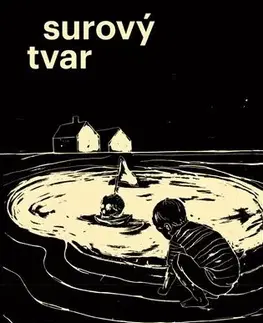 Česká beletria Surový tvar - Lukáš Palán