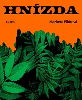 Romantická beletria Hnízda - Markéta Pilátová