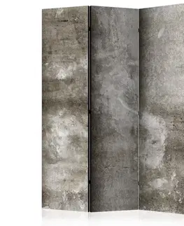 Paravány Paraván Cold Concrete Dekorhome