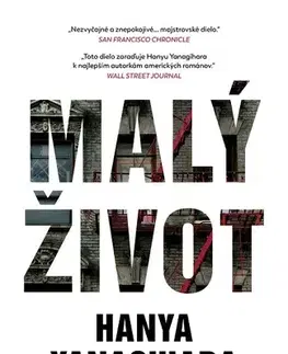 Romantická beletria Malý život - Yanagihara Hanya