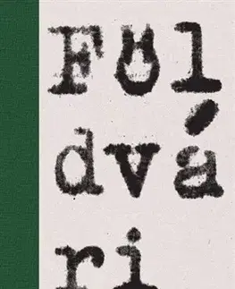 Literárna veda, jazykoveda Výstrel v zrkadle - Kornel Földvári