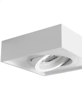 Podhľadové svietidlá Bodové svietidlo MINI GORD DLP-50-W 28780