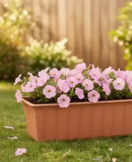 Záhradné kvetináče ProsperPlast Kvetináč BALCONY CAN | terakota 60 cm