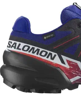 Trail Salomon Speedcross 6 GTX Equipe Veľkosť: 42 EUR