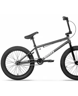Bicykle Galaxy Whip 20" šedá