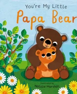 Leporelá, krabičky, puzzle knihy You're My Little Papa Bear - Nicola Edwards