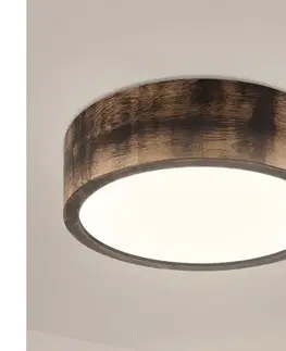 Svietidlá BRILAGI - LED Stropné svietidlo CARVALHO SMOKEY LED/20W/230V dub pr. 27,5 cm LD-PD-6.1/SMOKY