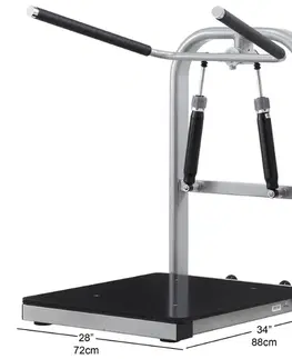 Posilňovacie stroje Posilňovač trupu - Hydraulicline CEO200 čierna