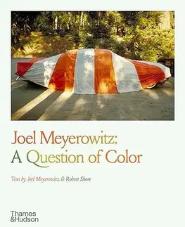 Fotografia Joel Meyerowitz: A Question of Colour - Joel Meyerowitz,Robert Shore