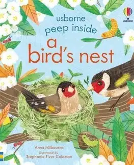 Leporelá, krabičky, puzzle knihy Peep Inside a Birds Nest - Anna Milbourne,Stephanie Fizer Coleman