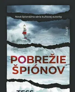 Detektívky, trilery, horory Pobrežie špiónov - Tess Gerritsen,Jana Melcerová
