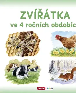 Príroda Zvířátka ve 4 ročních obdobích