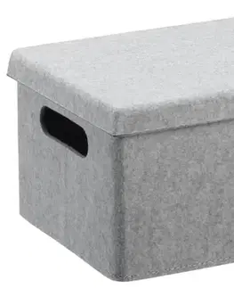 Boxy na skladovanie PLAST TEAM - Box VEGA svetlošedý malý
