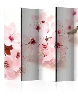 Paravány Paraván Cherry Blossom Dekorhome