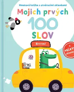 Leporelá, krabičky, puzzle knihy Mojich prvých 100 slov: Brrrm!