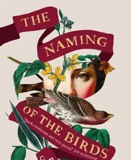 Detektívky, trilery, horory The Naming of the Birds - Paraic O'Donnell