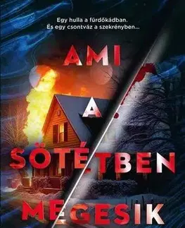 Detektívky, trilery, horory Ami a sötétben megesik - Jennifer Hillier