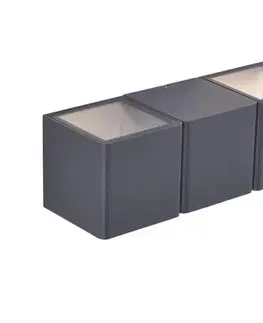 Svietidlá Paul Neuhaus 9658-13 - LED Vonkajšie nástenné svietidlo MARCEL 2xLED/4W/230V IP54 9658-13