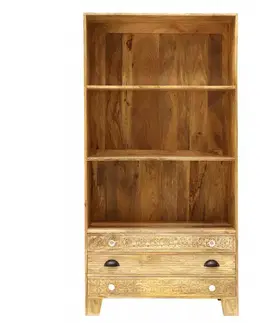 Knižnice Knižnica Manu 90x180x35 indický masív mango