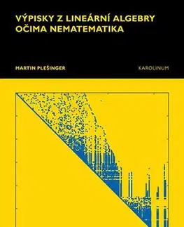 Matematika, logika Výpisky z lineární algebry očima nematematika - Martin Plešinger