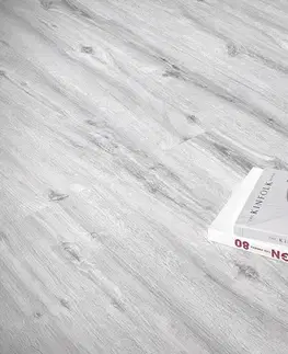 Falquon the floor Wood FALQUON THE FLOOR Wood Dub ľadový P1007 5G