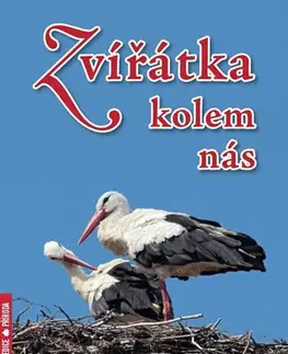 Biológia, fauna a flóra Zvířátka kolem nás - Vladimír Motyčka,Hana Motyčková