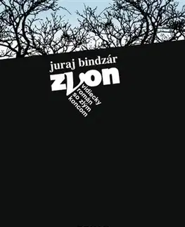 Slovenská beletria Zvon - Juraj Bindzár