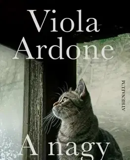 Svetová beletria A nagy csoda - Viola Ardone,Anna Todero
