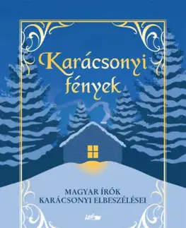 Novely, poviedky, antológie Karácsonyi fények - Kolektív autorov
