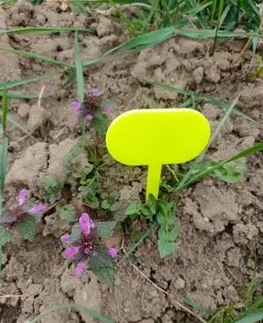 Outdoorové kotlíky Kinekus Tabuľka zapichovacia do záhrady 25x7x0,3cm plasová,  balenie 10ks
