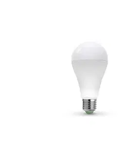 LED osvetlenie  LED Žiarovka LEDSTAR ECO A65 E27/20W/230V 4000K ZL-LE6520-40