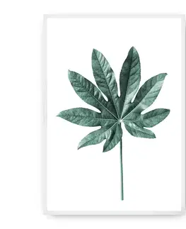 Obrazy Plagát Leaf Emerald Green