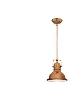 Svietidlá Westinghouse 6308440 - Luster na tyči BOSWELL 1xE27/60W/230V 6308440