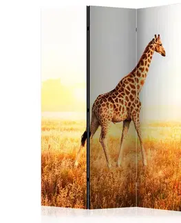 Paravány Paraván giraffe - walk Dekorhome