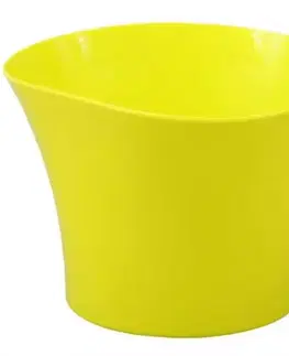 Záhrada Obal Primule 12 cm/žltý