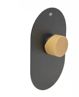 Kúpeľňové batérie Sprchová batéria SAT Fusion vrátane podomietkového telesa páka svetlé drevo SATBSFU210DSC SATBSFU210DSC