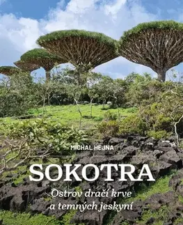Cestopisy Sokotra - Ostrov dračí krve a temných jeskyní - Michal Hejna