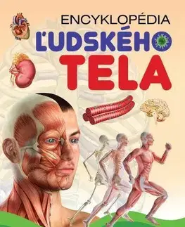Ľudské telo Encyklopédia ľudského tela