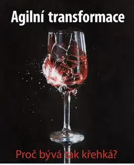 Hardware Agilní transformace - Anton Březina
