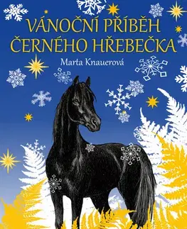 Rozprávky Vánoční příběh černého hřebečka - Marta Knauerová