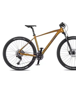 Bicykle 4EVER Firetrack 2025 dark gold / iron - M (17", 165-175 cm)