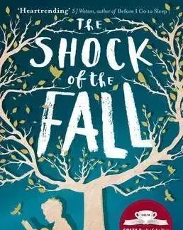 Cudzojazyčná literatúra The Shock of the Fall - Nathan Filer