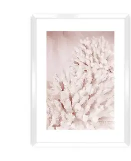 Obrazy Plagát Pastel Pink II