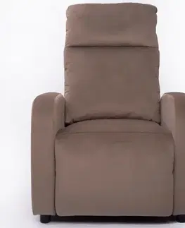 Relaxačné kreslá Kreslo Aksel Recliner 9774 Bluvel 40