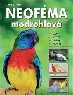 Vtáky, hydina Neoféma modrohlavá - Colin O´Hara
