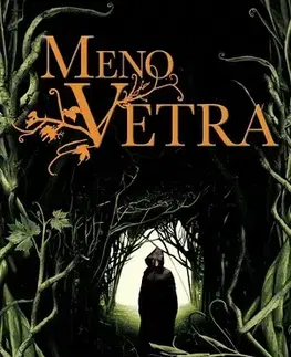Sci-fi a fantasy Meno vetra - Patrick Rothfuss