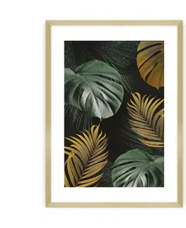 Obrazy Plagát Golden Leaves I