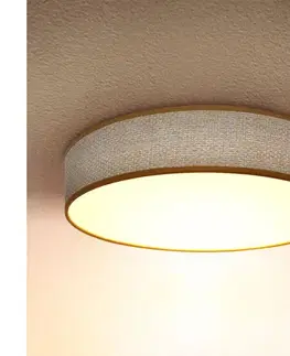 Svietidlá BRILAGI - LED Stmievateľné stropné svietidlo CARMEN LED/48W/230V 3000-6500K + DO WO800-OEM4