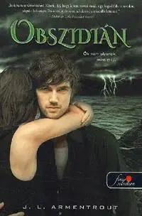 Beletria - ostatné Obszidián - Luxen 1. - Jennifer L. Armentrout